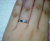 umuパライバリング着用