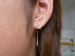 GFYGパライバ蝶着用２