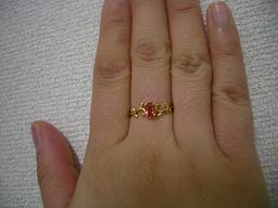 ベーネパパラチアカラーYGアイビー着用(中指)