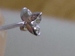 ベーネパライバ＆ダイヤフラワー(裏)