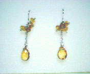 アポロニア シトリンブリオレ