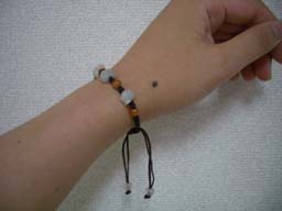 ジェダイトＳＴＯＲＥアジアンブレス豚着用