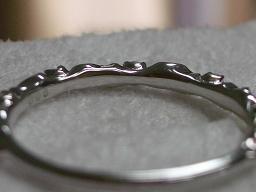 ベーネWGツタシルエット(裏)