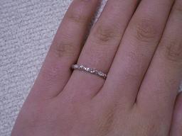 ベーネWGツタシルエット着用