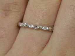 ベーネWGツタシルエット着用(大)