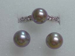 セデュＷＧ淡水お試しセット(セット)