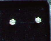 ベーネローズカットピアス