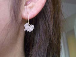 マンモスローズCZさざれ着用