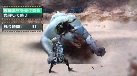 ドドブランゴ（ハンマー訓練）