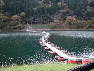 okutama0611_1.jpg