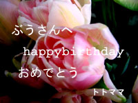 2006年2月26日　トトママさんより