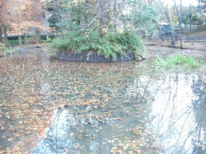 片倉の池