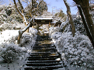 雪景色１