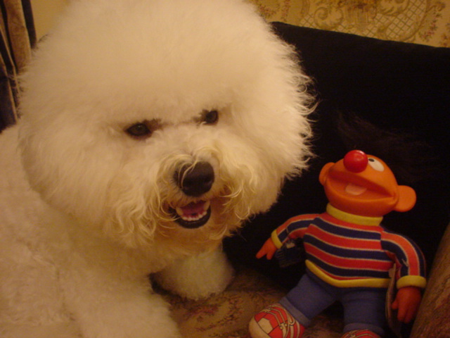 ＥｒｎｉｅとＥｒｎｉｅ