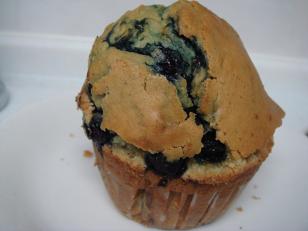 DSC02961ブルーベリー＠テイラーズ