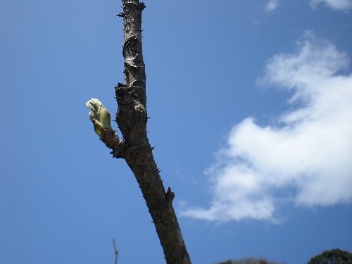 DSCN1653.jpg