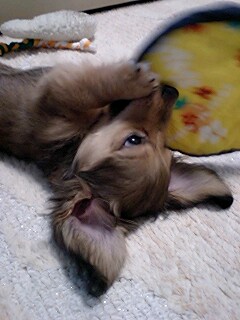 20070730-2.jpg