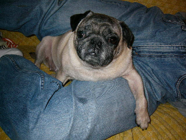 2005-05-22 00:53:12