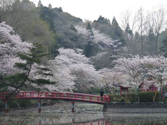 茂原公園