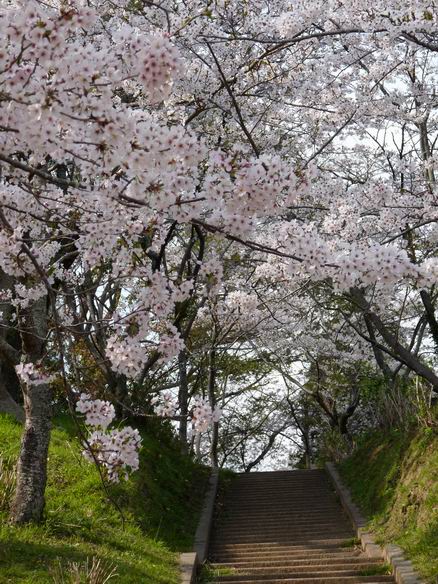 茂原公園