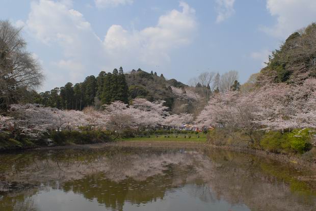 茂原公園