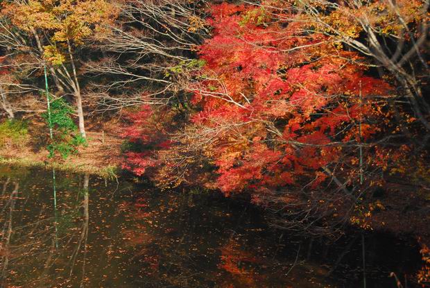 泉自然公園