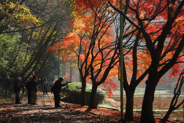 泉自然公園