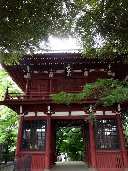 本土寺・山門