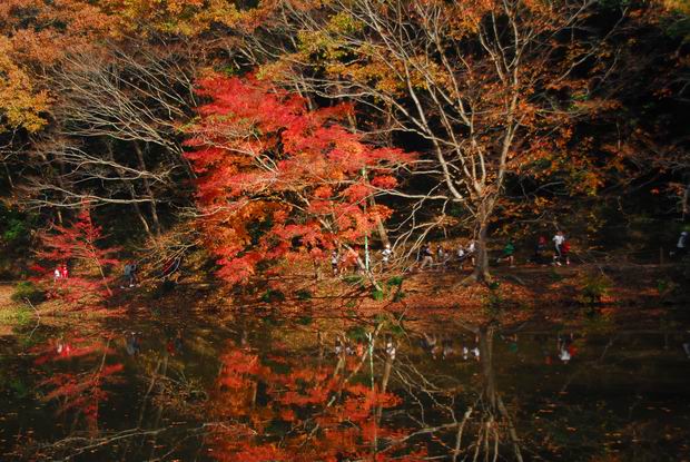 泉自然公園