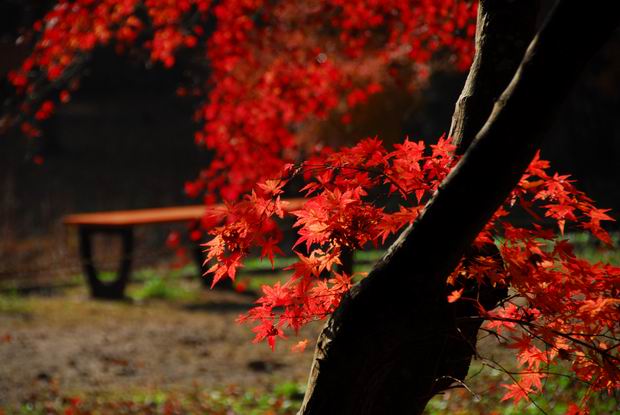 泉自然公園