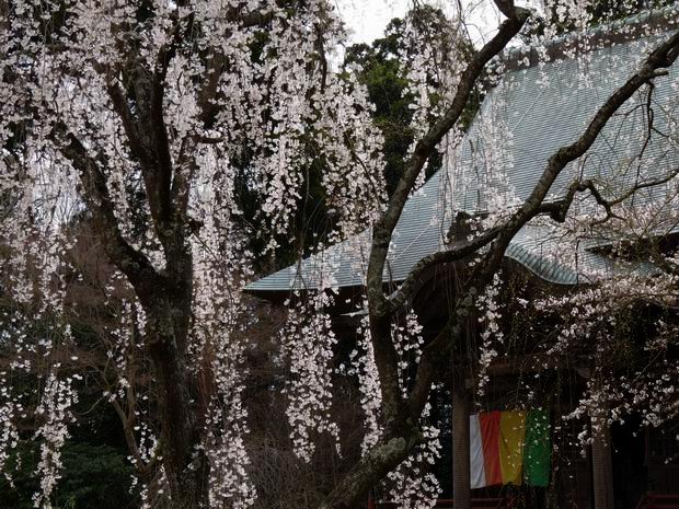 永福寺