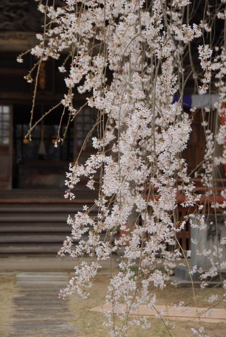 永福寺