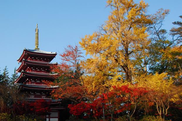 本土寺五重塔