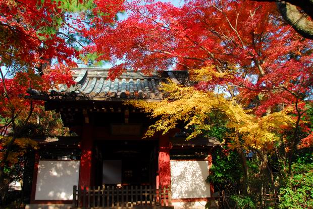 本土寺