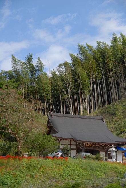 大円寺