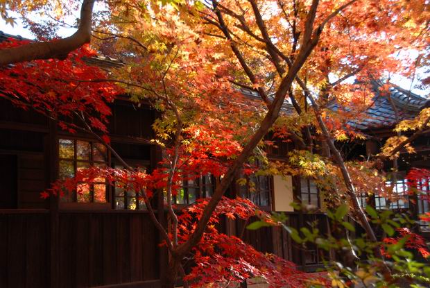 本土寺