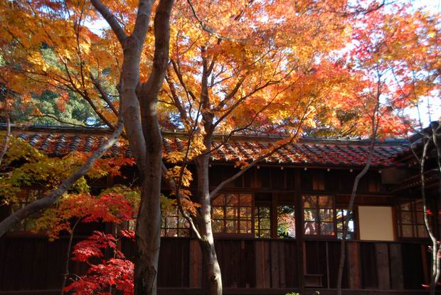 本土寺