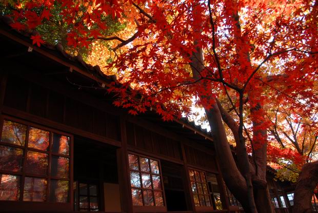 本土寺