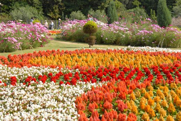 千葉市花の美術館