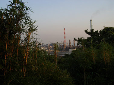 三渓園松風閣