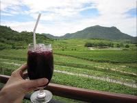 ブドウ畑とブドウジュース