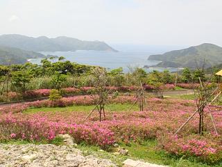 峰田山公園2