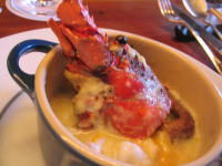 yonekuraグラタン１