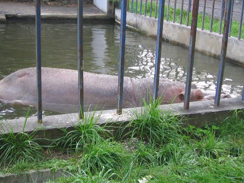 kabatenkan.JPG