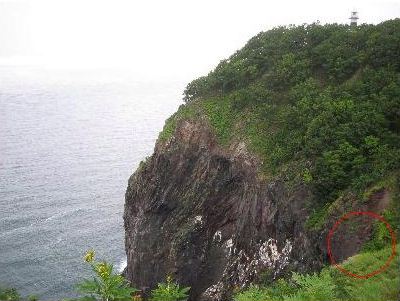44展望台からの図.jpg