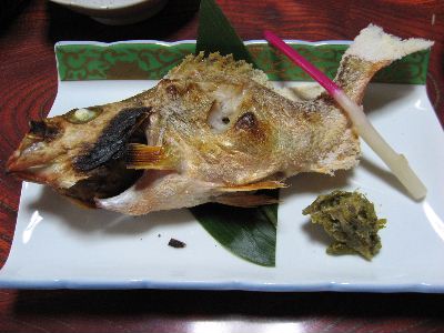 植木魚.JPG