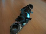 2005-10-02 13:48:51