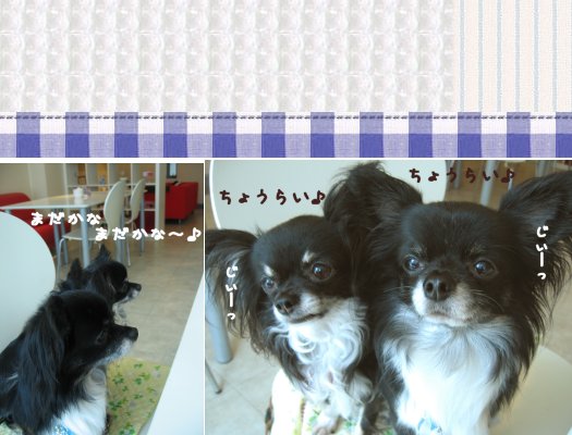 20120703-1.jpg