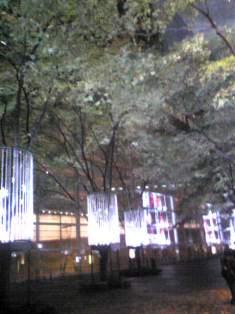 国際フォーラムのイルミネーション