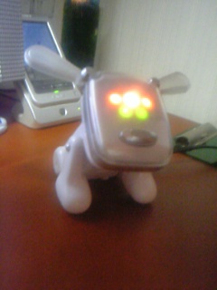 idog